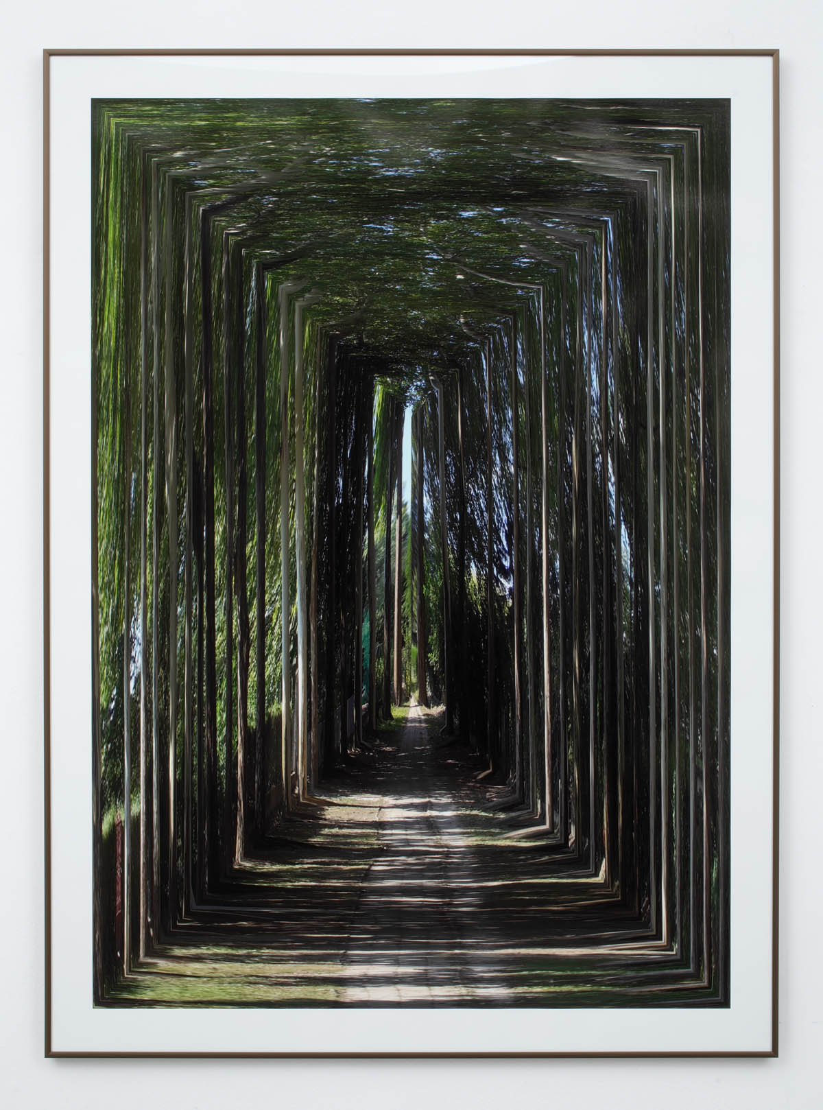 András Zalavári: Plane Tree Allee III (framing perspective), 2018
giclée print, 80 x 110 cm