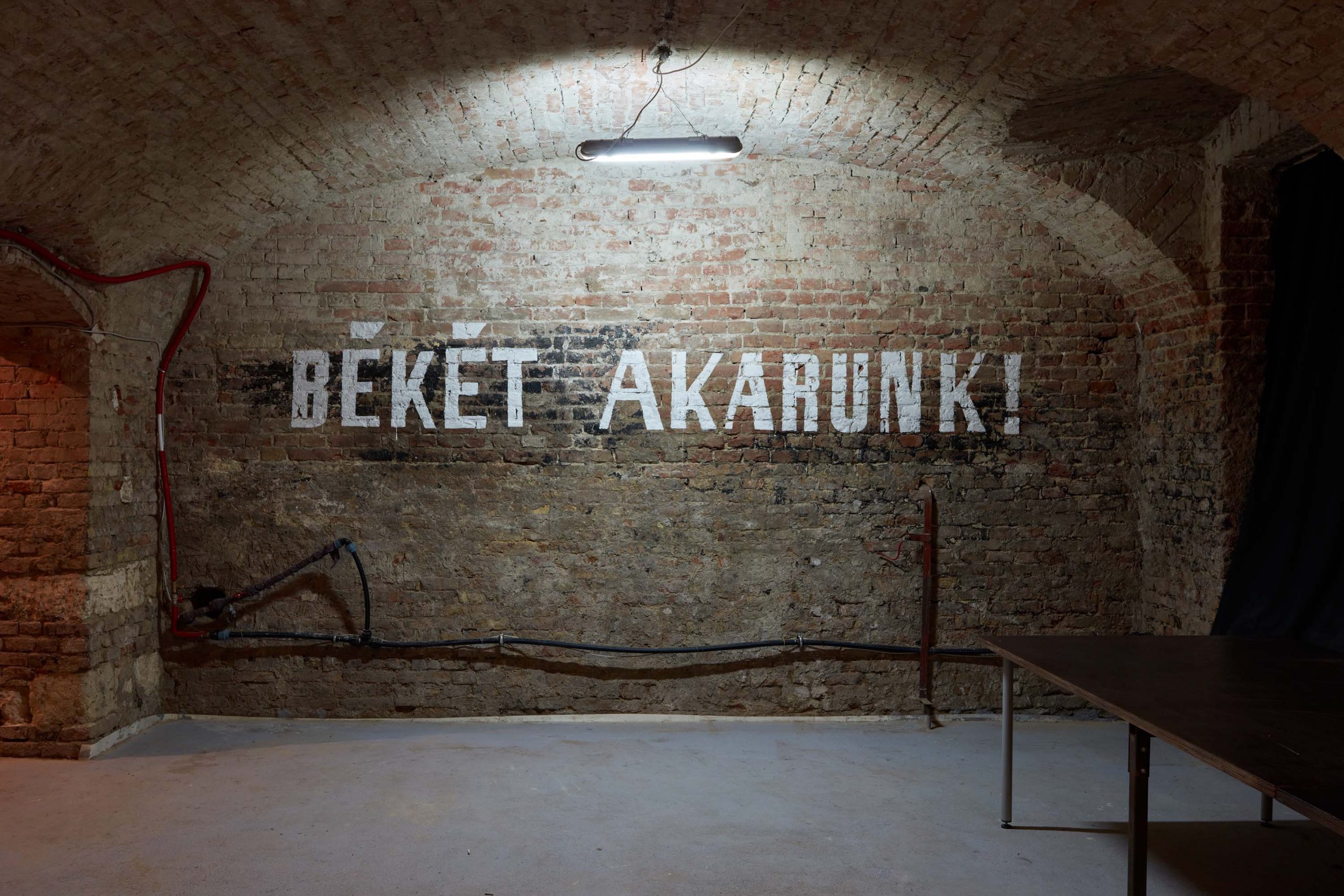 Finally We Can Learn Something, Installation view, 2020, Kisterem
Work by Tamás Kaszás
