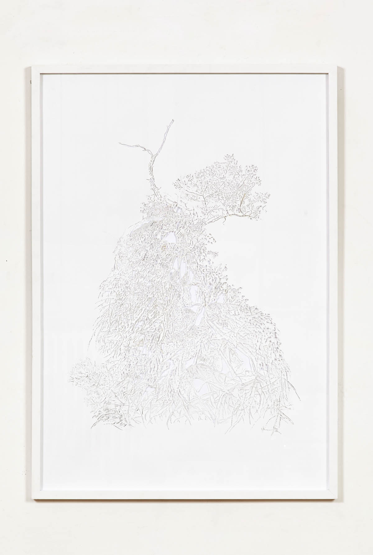 Kitti GOSZTOLA: Parasite I 2014 hand engraved paper 100x70cm