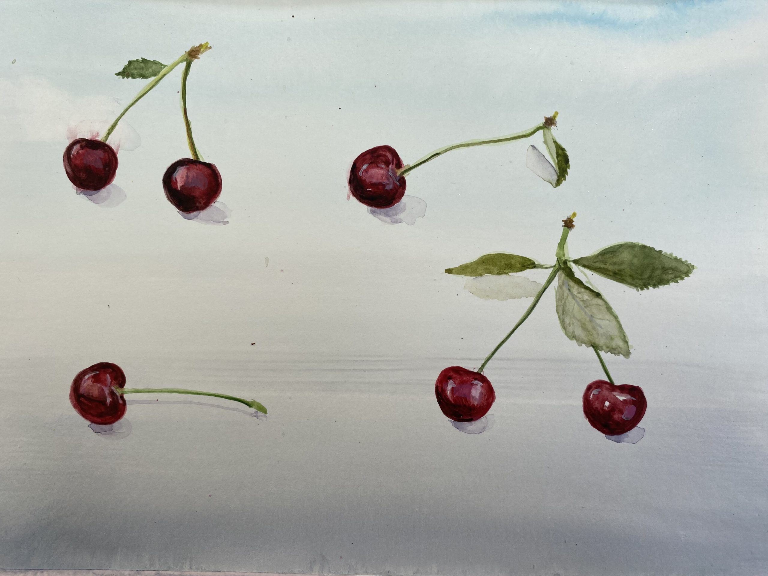 FISCHER Judit: Sour Cherries, 2023, watercolour on paper, 21 × 29,7 cm 