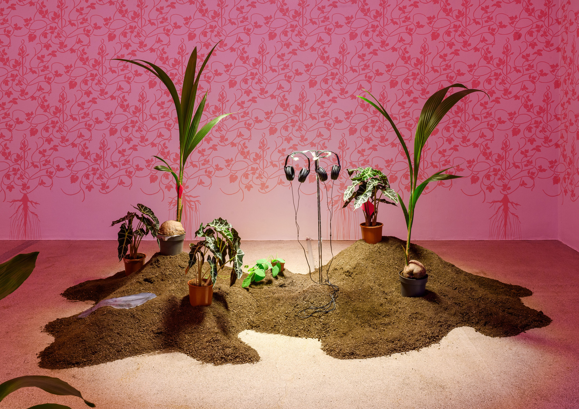 Mai Ling: NOT YOUR ORNAMENT. Exhibition, Secession Wien, Vienna, 15.9. – 12.11.2023