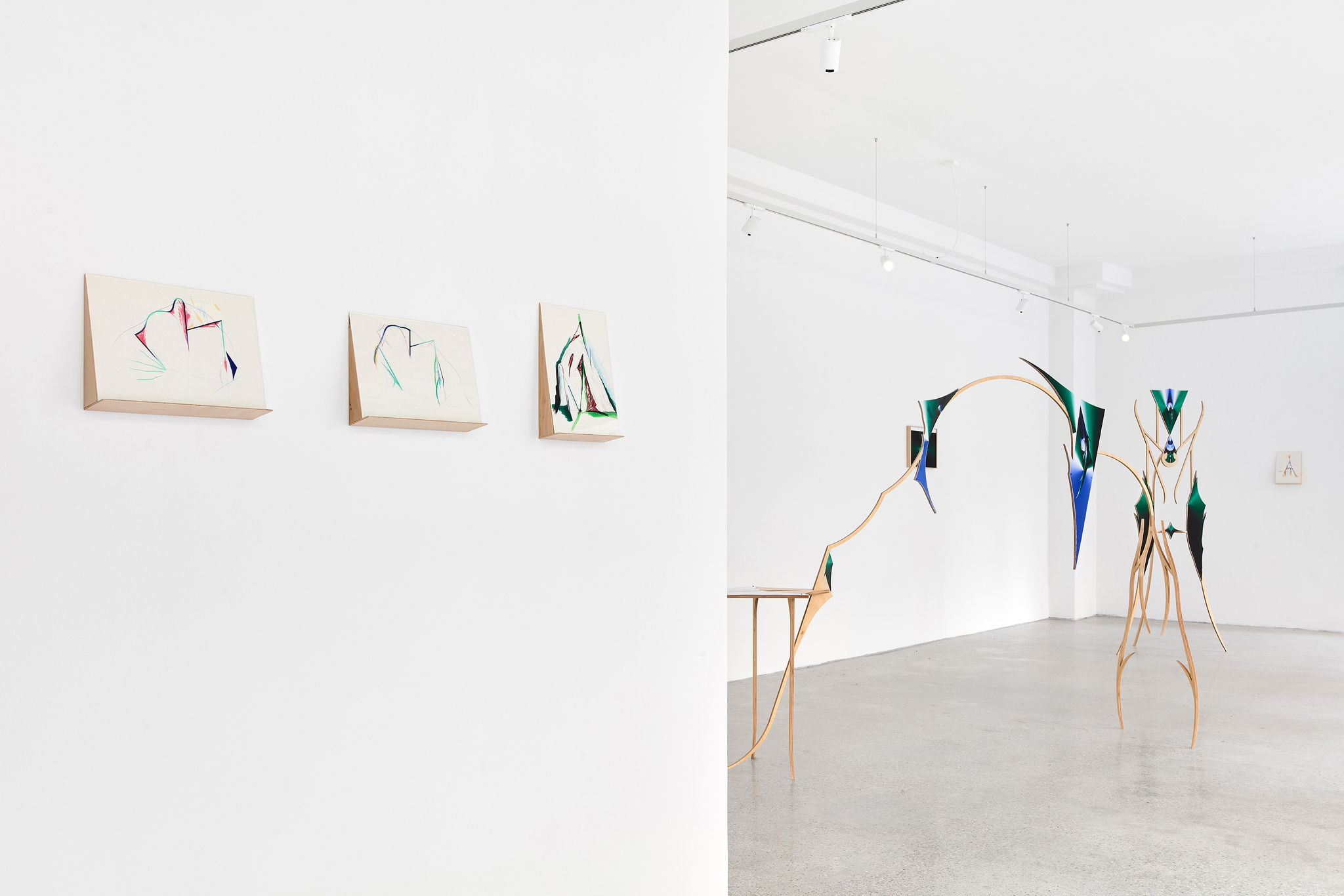 Foliage Head, installation view, 2026