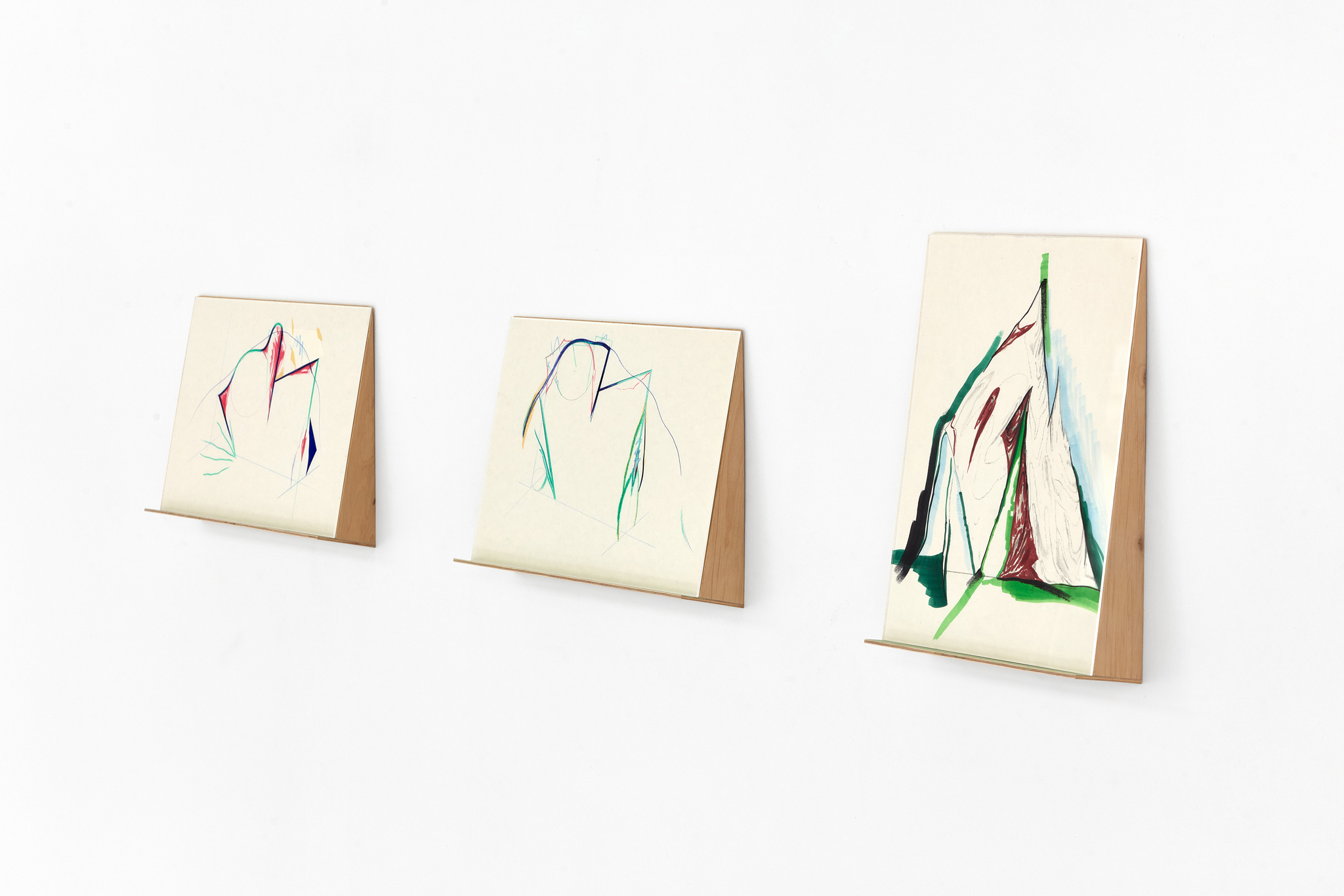 Foliage Head, installation view, 2026