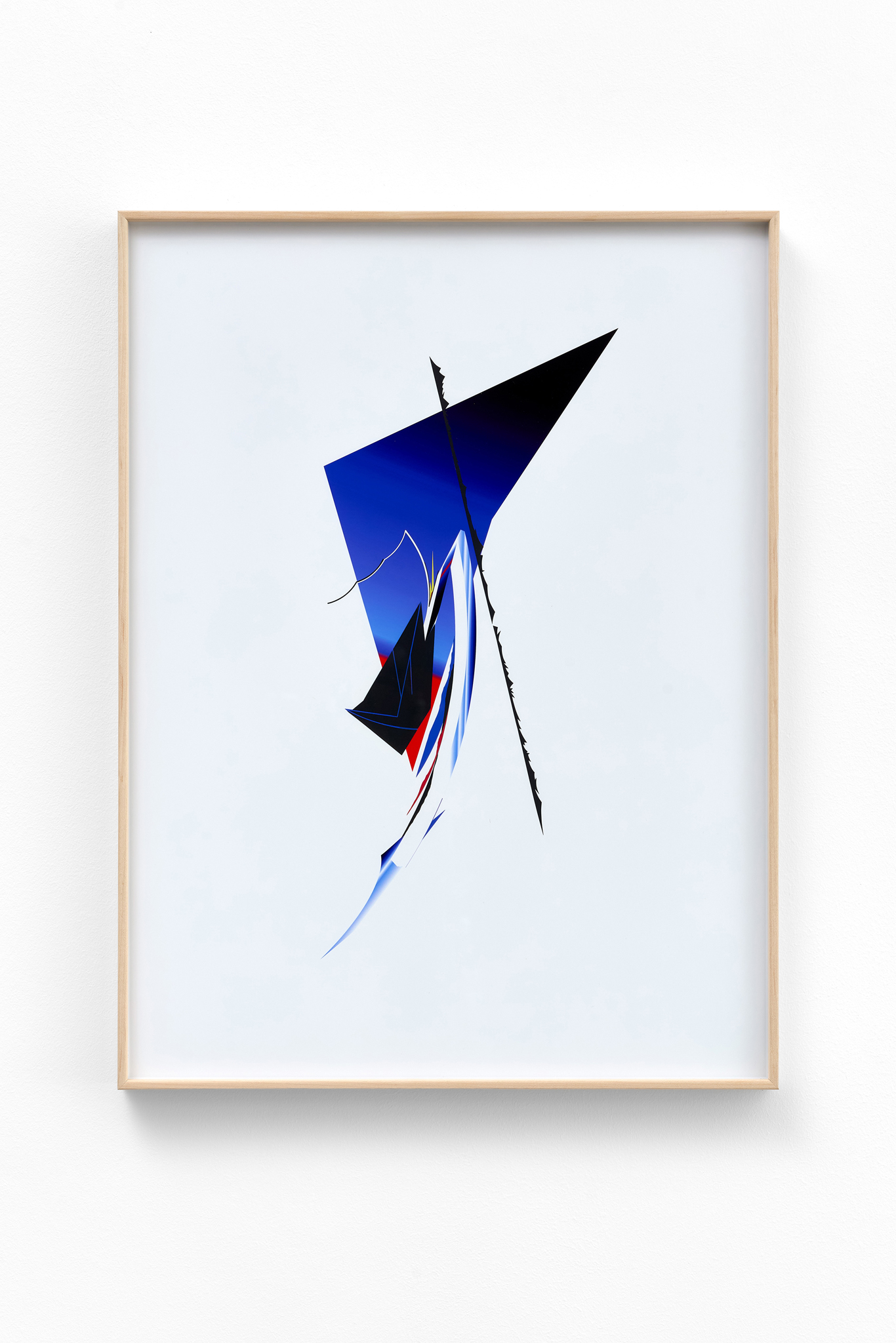 Zsolt MOLNÁR: Foliage Boundaries, 2023, 3 giclée prints, 4-layer montage
57 × 43 cm
