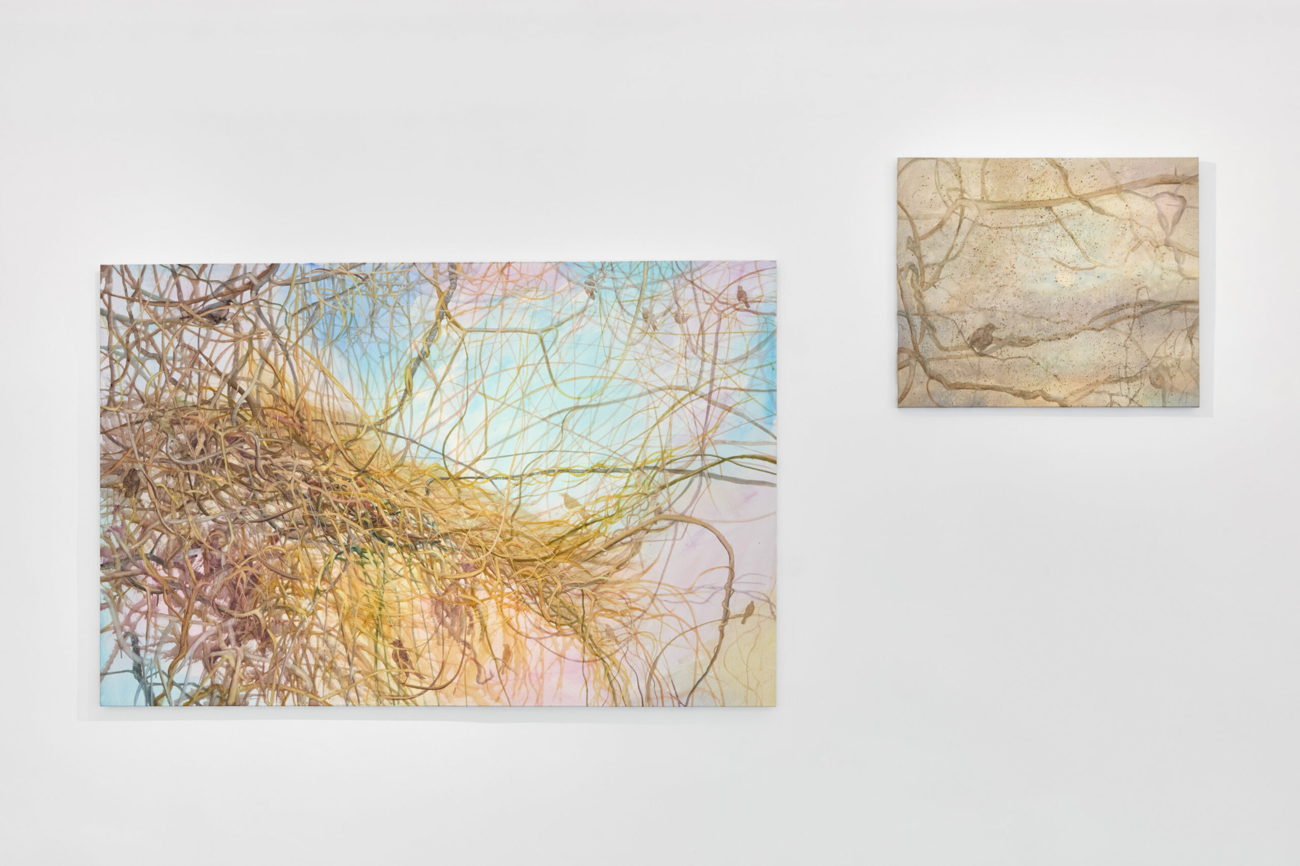 Kateryna Aliinyk, Dominika Trapp: ‘we swallowed an air like earth…’, installation view, 2026