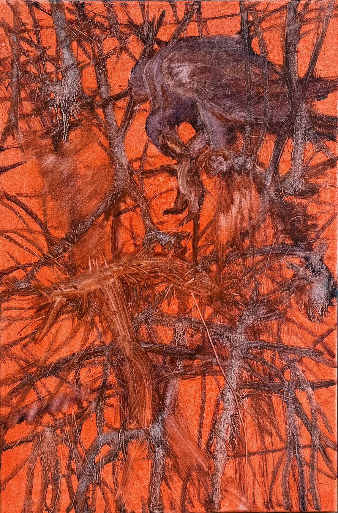 Kateryna ALIINYK: Untitled, oil on canvas, 2026 
